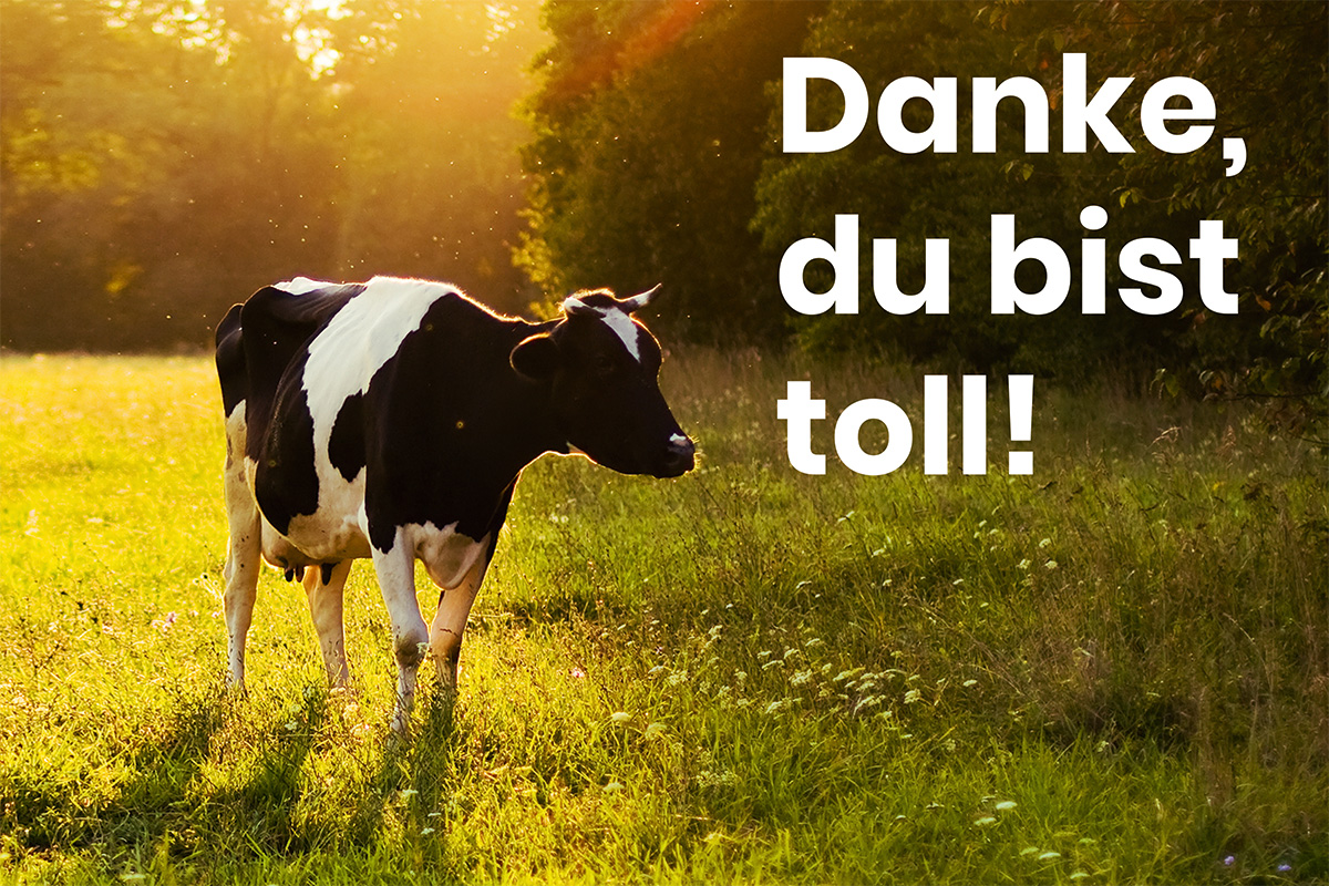 Danke, du bist toll!