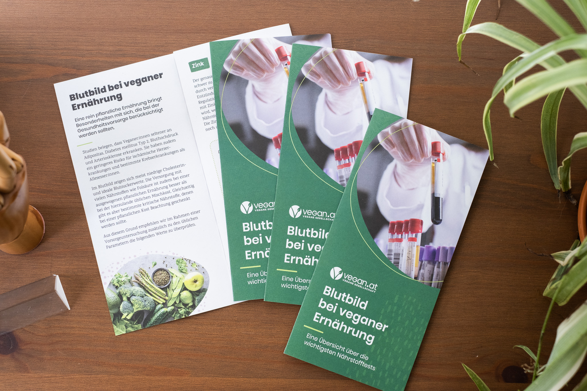Broschüre: "Blutbild bei veganer Ernährung - Eine Übersicht über die wichtigsten Nährstofftests""
