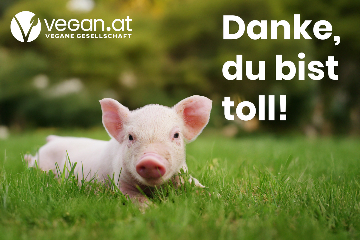 Danke, du bist toll!
