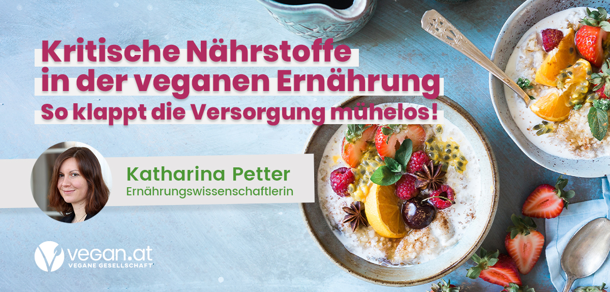 Nachschau Online-Talk: Kritische Nährstoffe in der veganen Ernährung