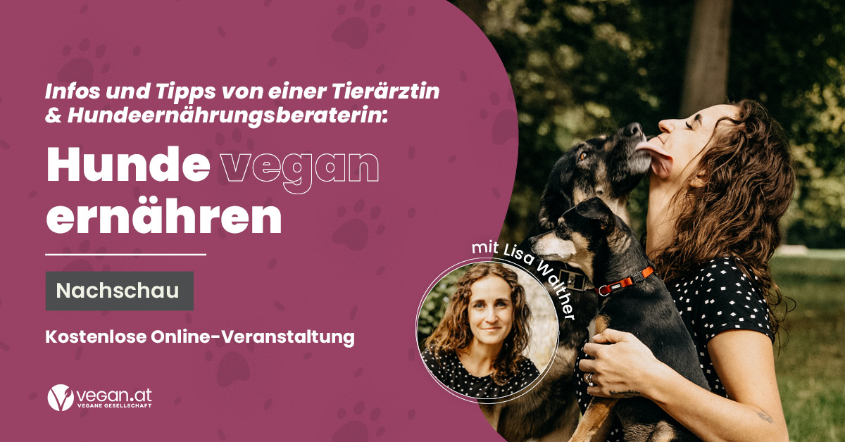 Nachschau Online-Talk „Hunde vegan ernähren“ mit Lisa Walther