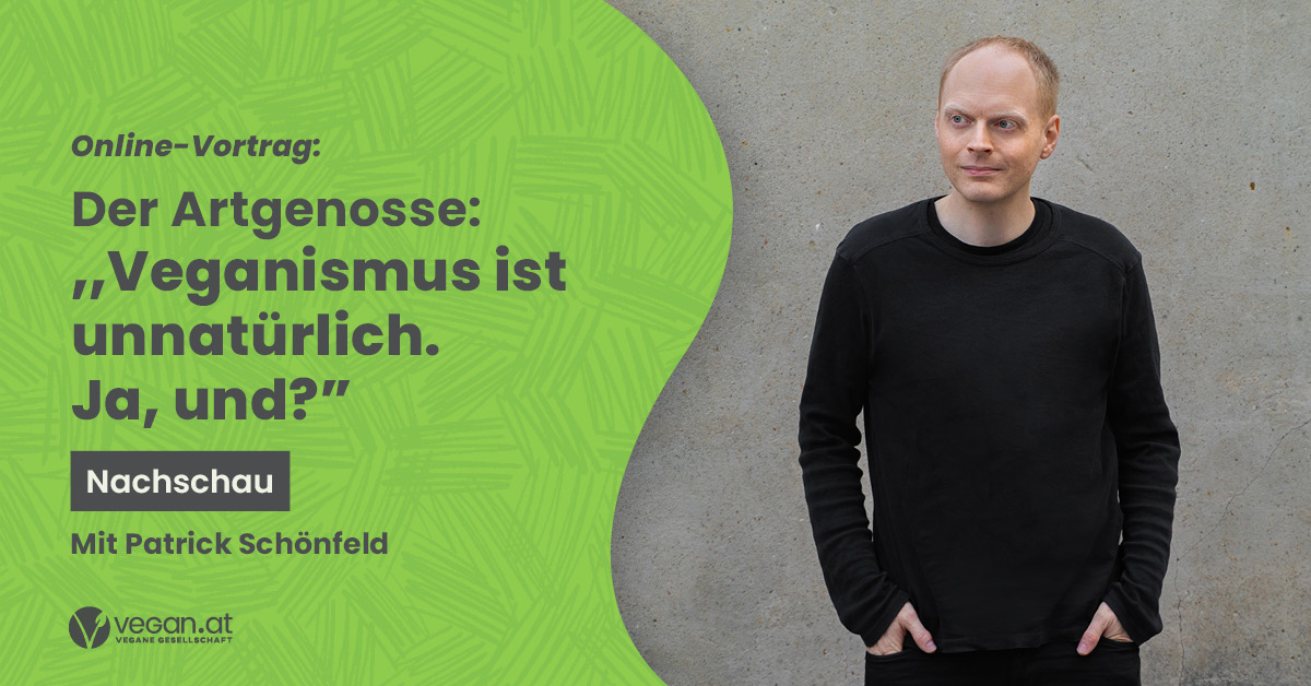 Nachschau Online-Talk "Veganismus ist unnatürlich. Ja, und?" mit Patrick Schönfeld, bekannt als "Der Artgenosse"
