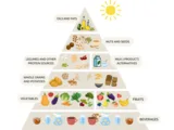 © Institut für pflanzenbasierte Ernährung (IFPE)
Quelle: Koch et al. 2026. Journal of Public Health. Pyramide mit Getränken, Gemüse und Obst, Vollkorngetreide, Hülsenfrüchten und pflanzlichen Milchprodukten, Nüssen und Samen sowie Supplementen.