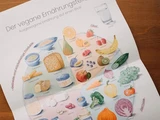 Poster: Ernährungsteller