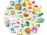 Der vegane Teller: So gelingt eine ausgewogene pflanzliche Ernährung!