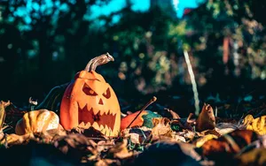 Ein ausgehöhlter Kürbis mit einem geschnitzten Gesicht liegt in herbstlichem Laub