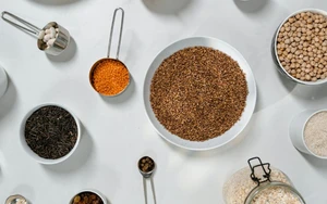 Fleisch- und Milchalternativen unter der Lupe: Vorteile für Umwelt, Ernährung und Gesundheit, Verbesserungspotenzial beim Preis