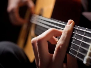 Musikinstrumente: Musizieren ohne Tier