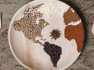 EAT-Lancet-Report 2.0: Planetary Health Diet für eine gesunde und nachhaltige Ernährung