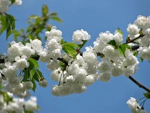 Vegan im Frühling: Things to do