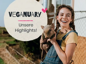 500.000 Teilnehmer:innen: Unsere Highlights im Veganuary 2025