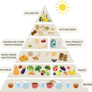 Pyramide mit Getränken, Gemüse und Obst, Vollkorngetreide, Hülsenfrüchten und pflanzlichen Milchprodukten, Nüssen und Samen sowie Supplementen.