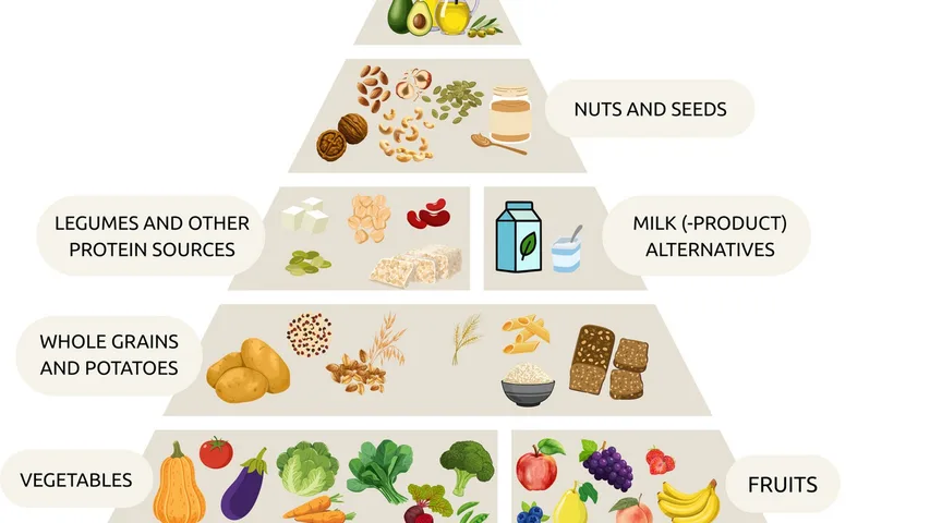 © --
Quelle: IFPE Vegane Lebensmittelpyramide: Ganz unten sind Getränke, darüber Gemüse und Obst, dann Vollkorngetreide, dann Hülsenfrüchte und Proteinquellen sowie pflanzliche Milchprodukte, dann Nüsse und Samen, dann spezielle Nährstoffe.