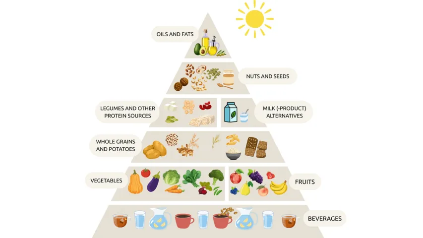 © Institut für pflanzenbasierte Ernährung (IFPE)
Quelle: Koch et al. 2026. Journal of Public Health. Pyramide mit Getränken, Gemüse und Obst, Vollkorngetreide, Hülsenfrüchten und pflanzlichen Milchprodukten, Nüssen und Samen sowie Supplementen.