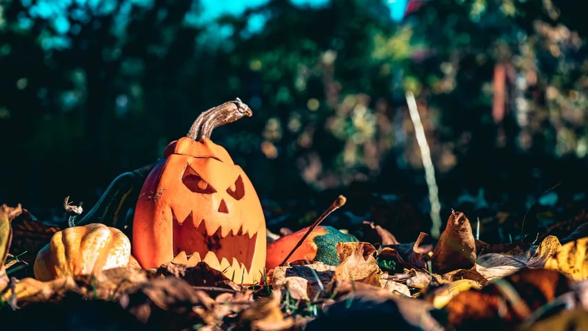 © Pexels | Chetan Vlad Ein ausgehöhlter Kürbis mit einem geschnitzten Gesicht liegt in herbstlichem Laub