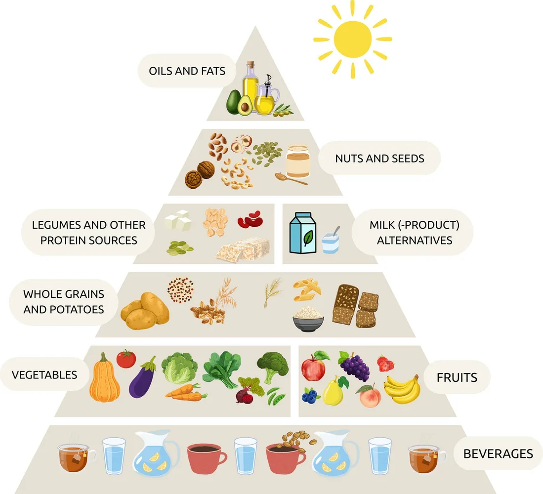Vegane Lebensmittelpyramide: Ganz unten sind Getränke, darüber Gemüse und Obst, dann Vollkorngetreide, dann Hülsenfrüchte und Proteinquellen sowie pflanzliche Milchprodukte, dann Nüsse und Samen, dann spezielle Nährstoffe.