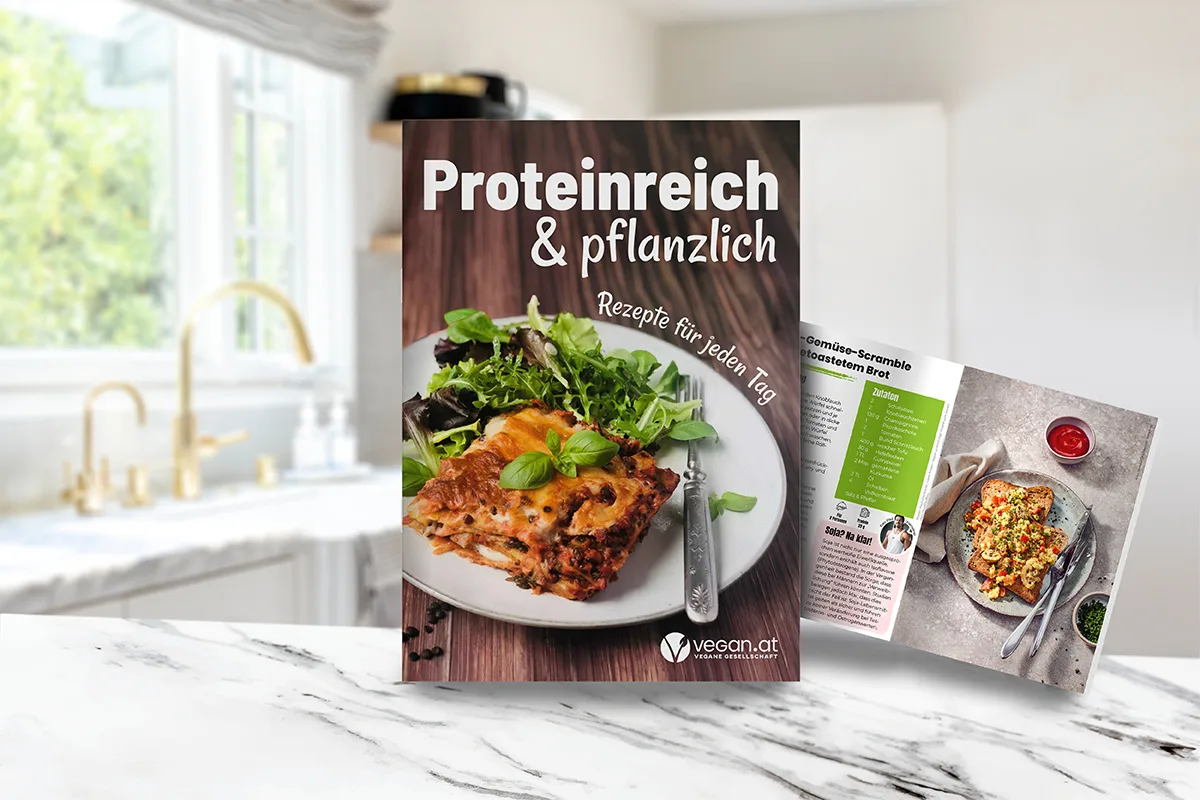Proteinbroschüre der Veganen Gesellschaft