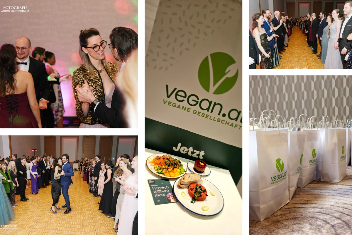 collage_vegan_ball_ii.png