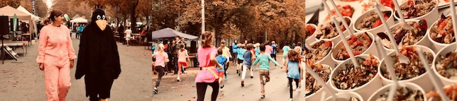 events_tierschutzlauf_0.png