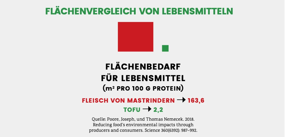 flaeche_03.png