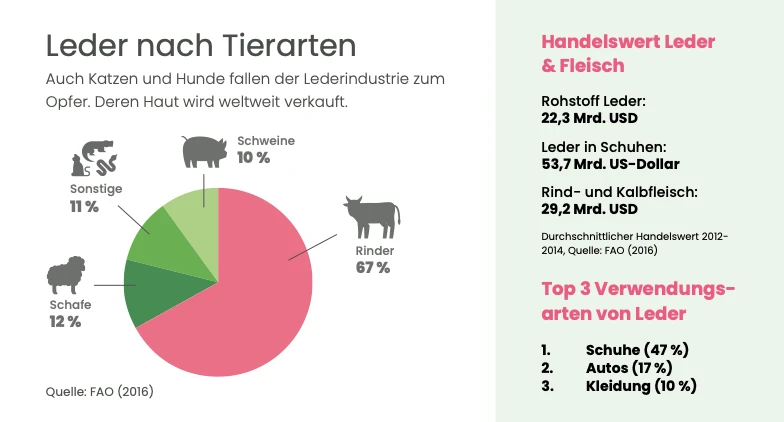 flugblatt_leder_tierarten.png