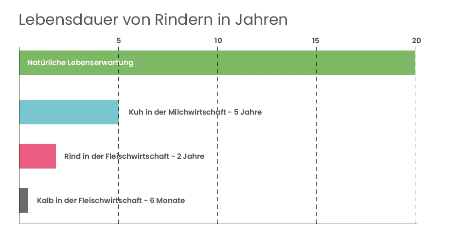 flugblatt_milch_lebensdauer.png