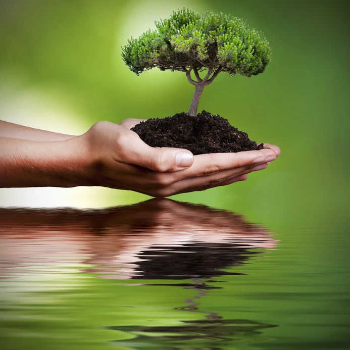 fotolia_103661686_s_0.jpg