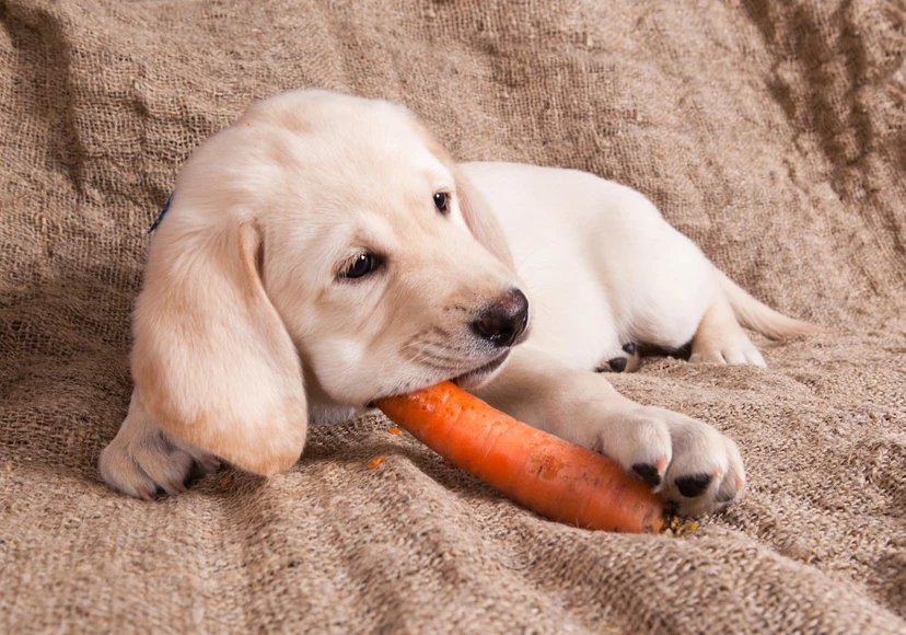 fotolia_99678565_s_0_1.jpg