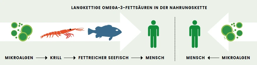 gesundheit_fische_1.png