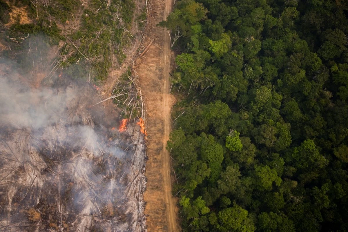gp018ng_credit_greenpeace_daniel_beltra_website.jpg