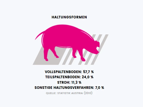 haltungsformen_2.png