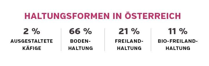 haltungsformen_in_oesterreich.jpg