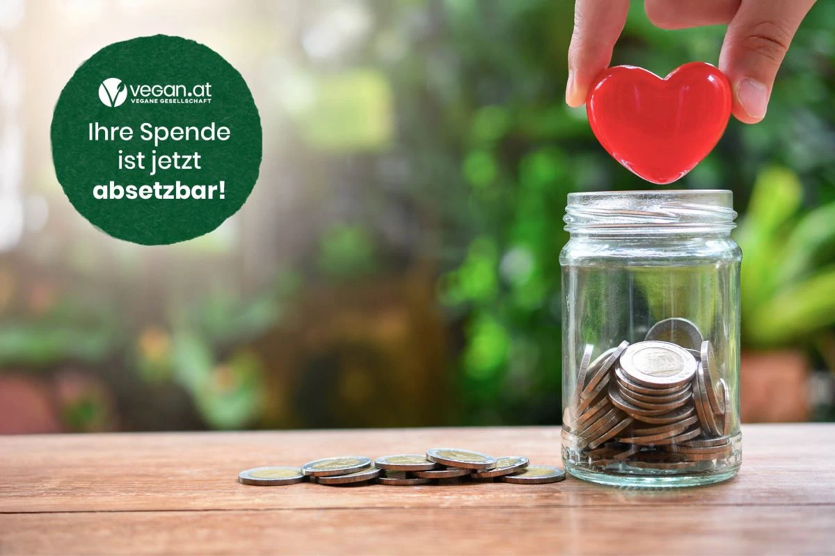 spenden_absetzbarkeit_web_5.jpg