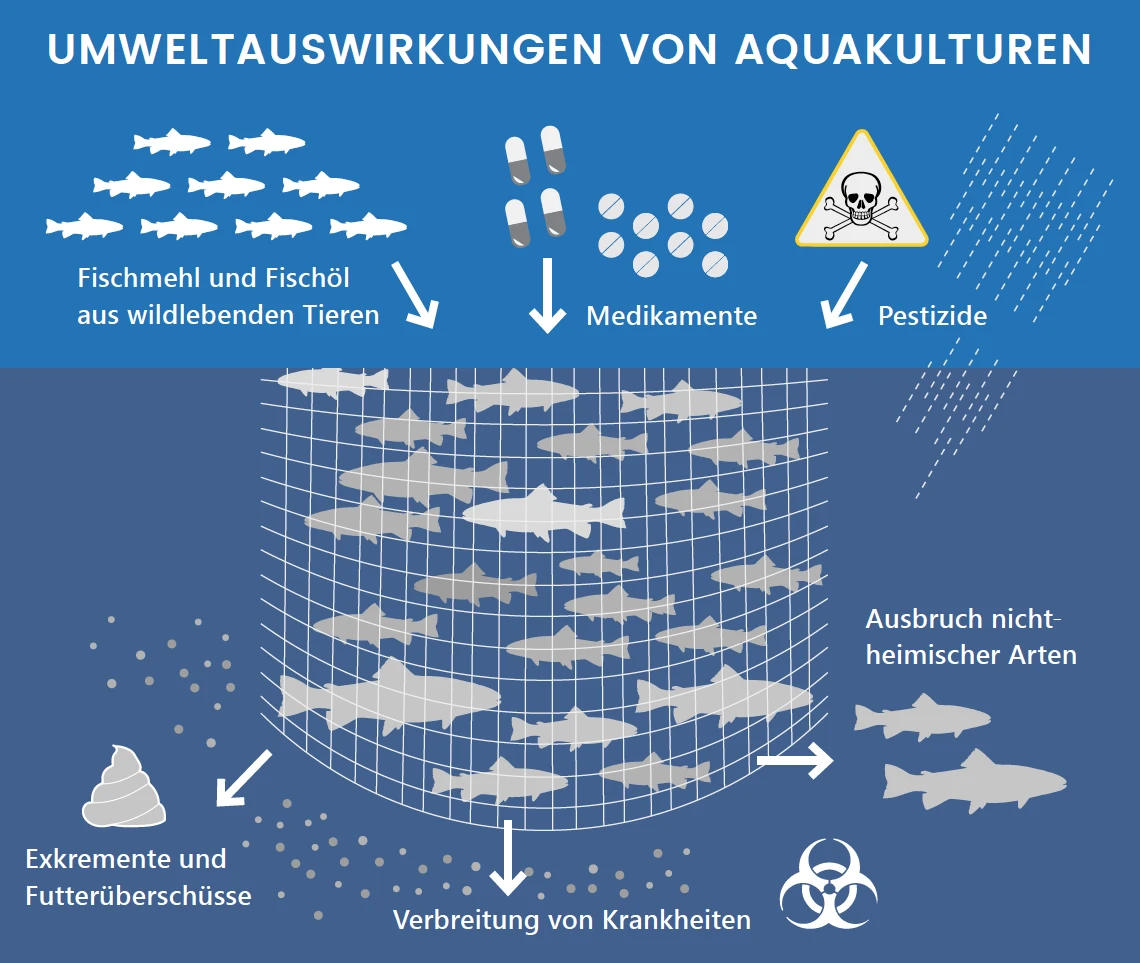 vegan_aquakultur_01.png