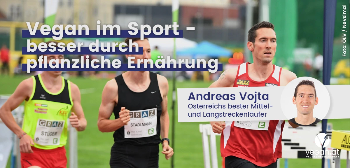 webinarnachschau_andreas_vojta_0.jpg
